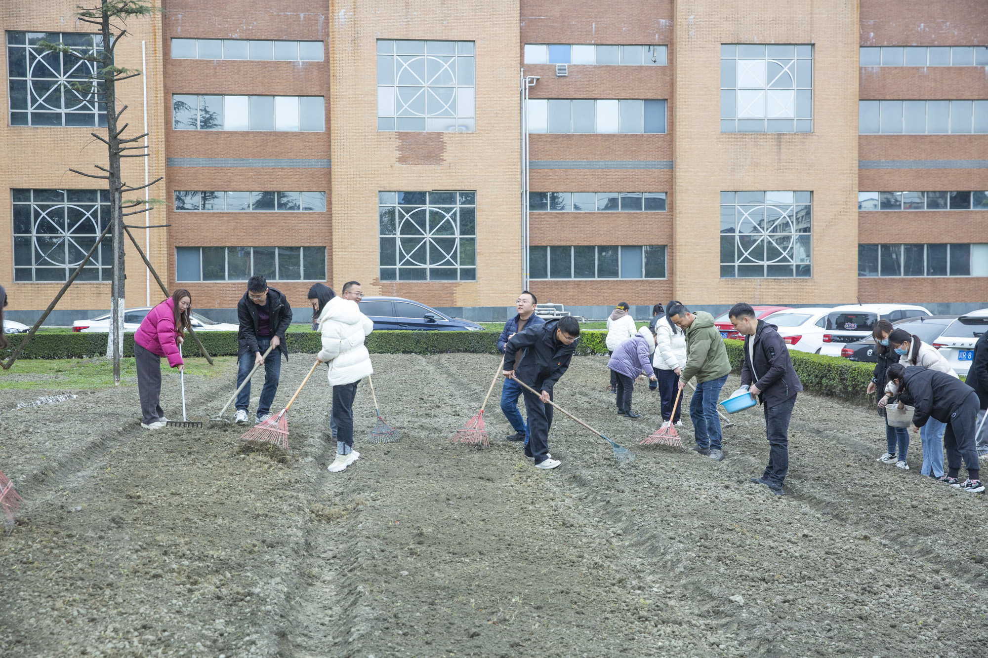 植树节 | 乐鱼官方端网站登录入口开展“植此青绿，拥抱春天”植树节活动